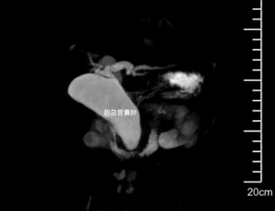 d7869e8d10f7fb0a3dbda97aadb0aa60.png 1.png